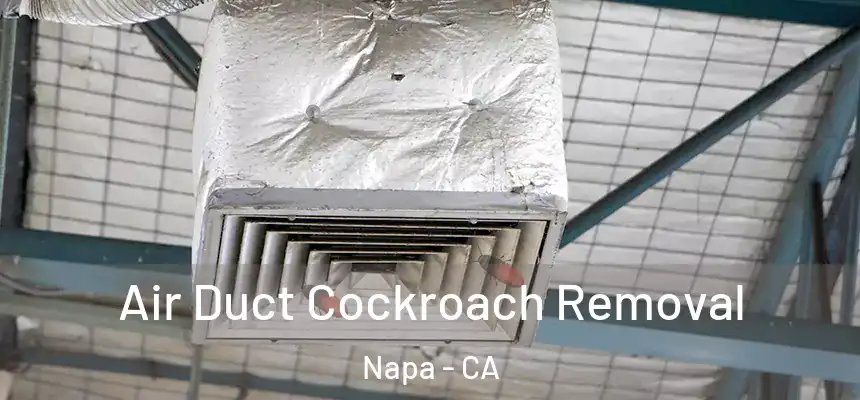 Air Duct Cockroach Removal Napa - CA