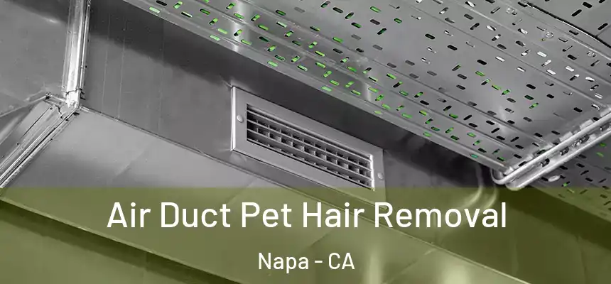 Air Duct Pet Hair Removal Napa - CA
