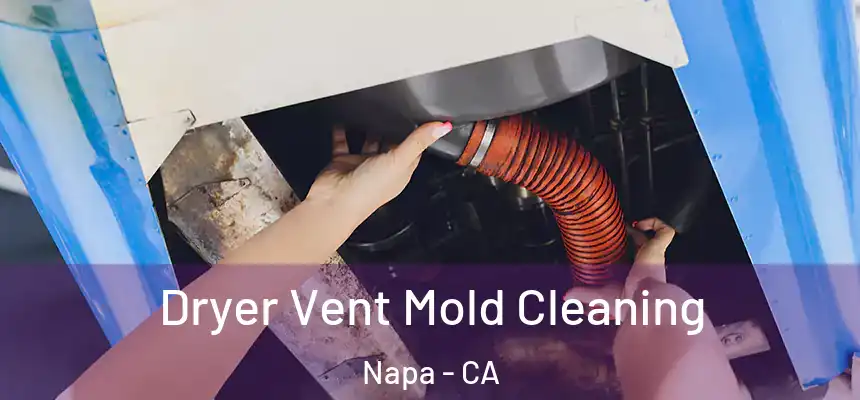 Dryer Vent Mold Cleaning Napa - CA