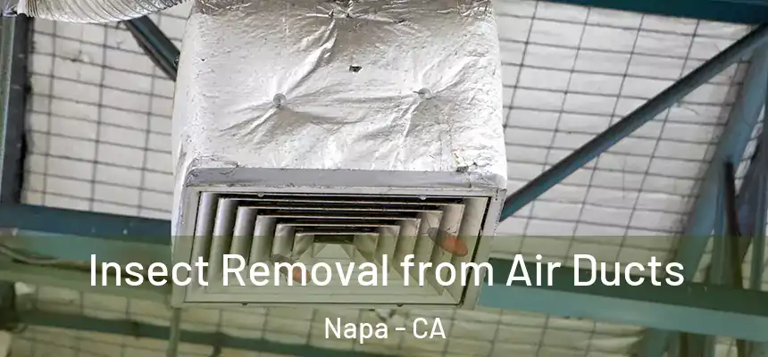Insect Removal from Air Ducts Napa - CA