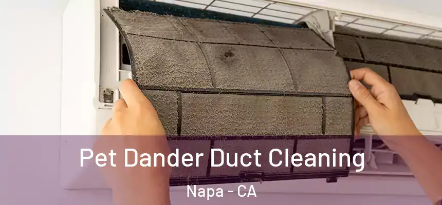 Pet Dander Duct Cleaning Napa - CA