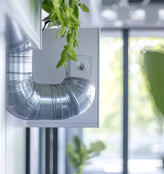 Professional Eco-Friendly Duct Cleaning Services in Napa, CA