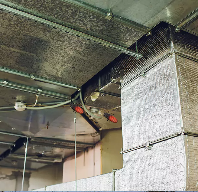 Why Homeowners & Businesses Trust Us in Napa, CA?