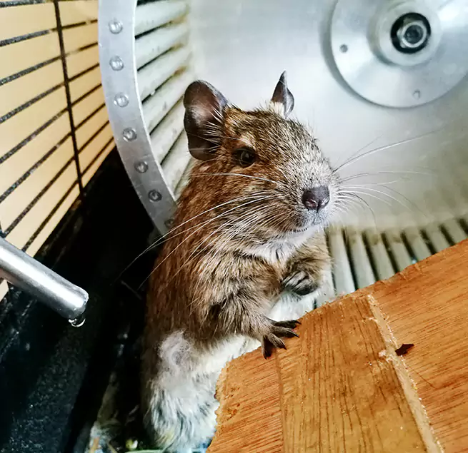 Why Homeowners & Businesses Trust Us Napa, CA