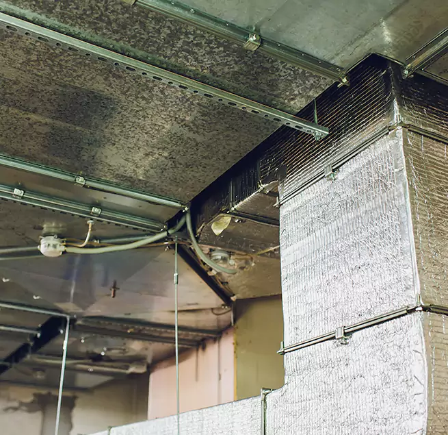 Why Homeowners & Businesses Trust Us in Napa, CA?