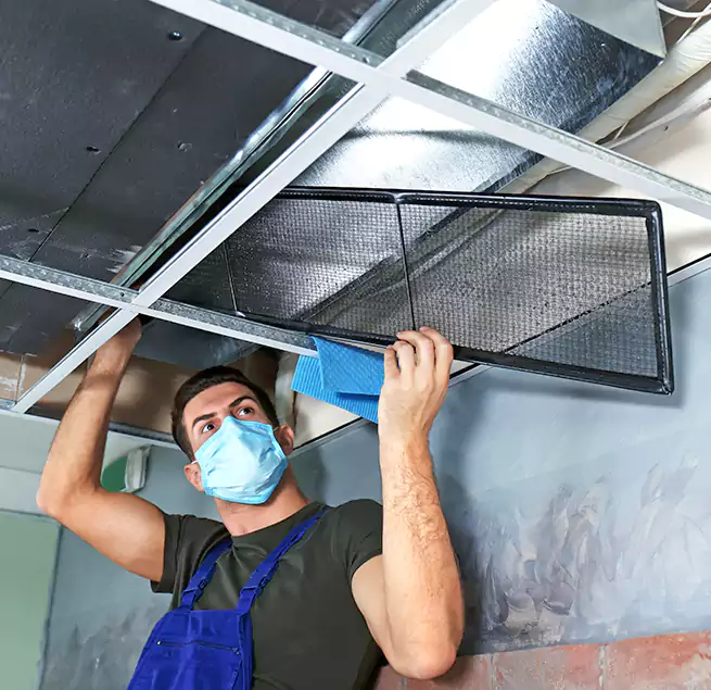 Why Homeowners Businesses Trust Us in Napa, CA